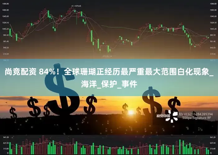 尚竞配资 84%！全球珊瑚正经历最严重最大范围白化现象_海洋_保护_事件