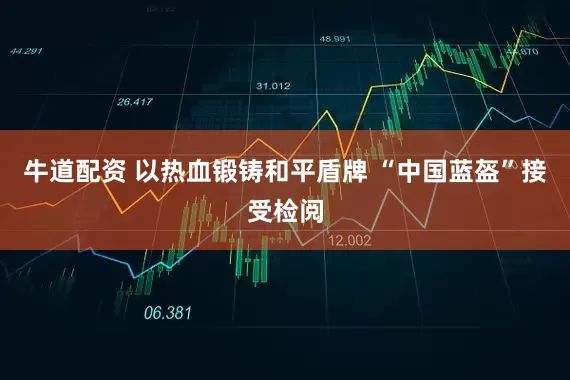 牛道配资 以热血锻铸和平盾牌 “中国蓝盔”接受检阅