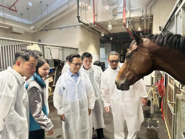 合优投资 抢先解锁全运会马术项目! 广州侨青齐聚从化